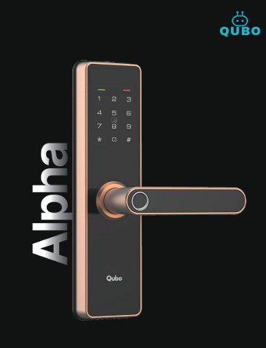 SMART DOOR LOCK ALPHA CROPPER